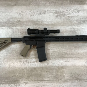 PALMETTO STATE ARMORY PA-15 .450 BUSHMASTER #376