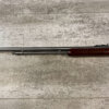 TAURUS MODEL 62 22LR STAINLESS STEEL PUMP RIFLE, MODERN #5-10511