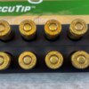 REMINGTON PREMIER ACCUTIP, 17 REM. 20 GR. ACCUTIP-V BOAT TAIL AMMO, QTY 20 #5-11116